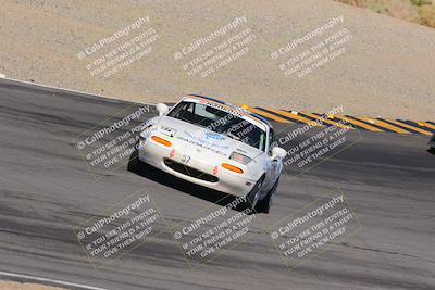 media/Oct-14-2023-Lucky Dog Racing (Sat) [[cef75db616]]/Turn 12 Exit-Bowl Backside (230pm)/